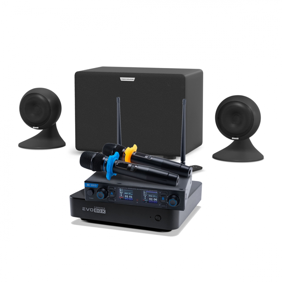 караоке-комплект EVOBOX + EvoSound Sphere 2.1 в Пензе