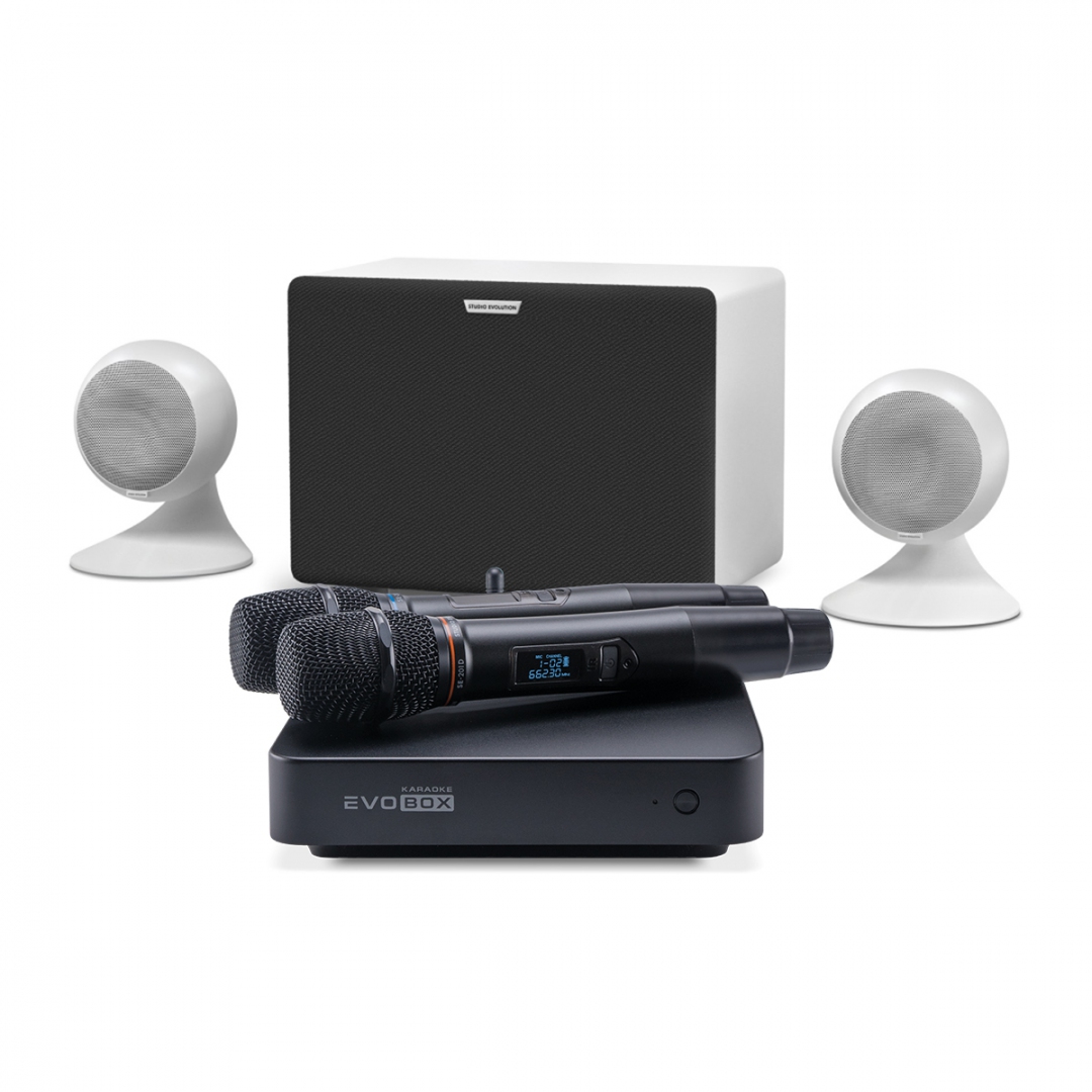 караоке-комплект EVOBOX Classic + EvoSound Sphere 2.1 в Пензе