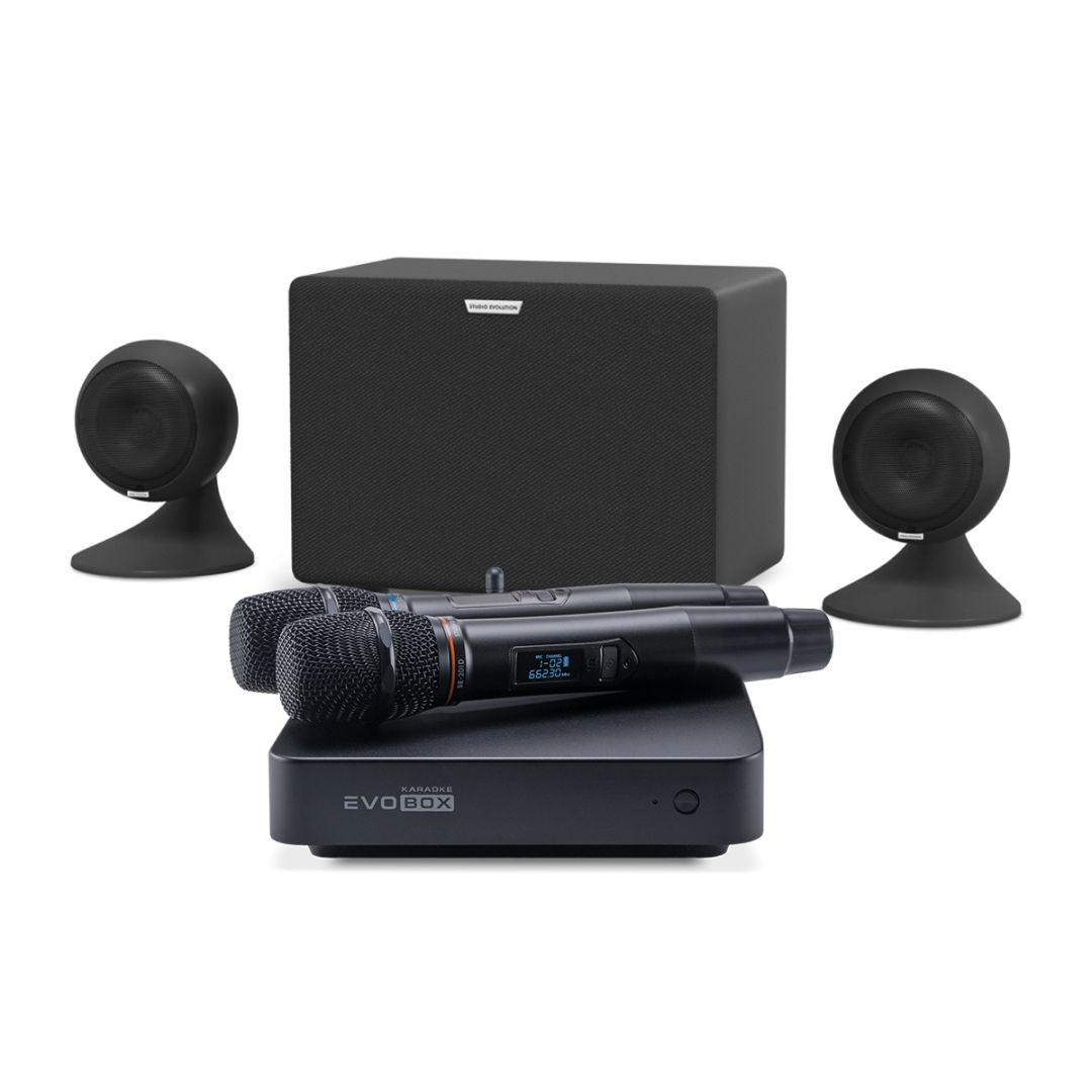караоке-комплект EVOBOX Plus + EvoSound Sphere 2.1 в Пензе