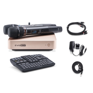 EVOBOX Classic караоке-система для дома в Пензе