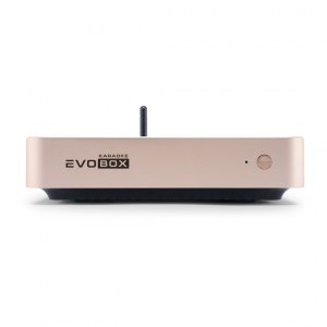 EVOBOX Plus караоке-система для дома в Пензе