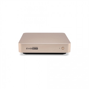EVOBOX с микрофонами в Пензе
