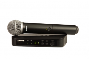 SHURE BLX24E/PG58 M17 вокальная радиосистема в Пензе